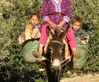 Ourika valley hiking tour from Marrakech